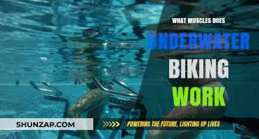 Underwater Biking: Target Muscles and Full-Body Benefits Explained