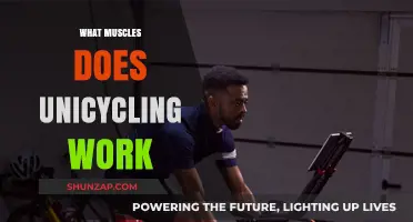 Unicycling Benefits: Core, Legs, and Balance Muscles Explained