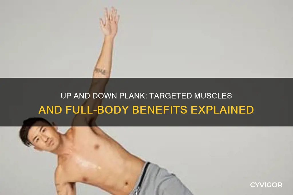 what muscles does up and down plank work