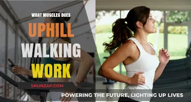 Uphill Walking Benefits: Targeted Muscles and Full-Body Strength Gains