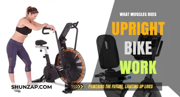 Upright Bike Benefits: Targeted Muscles for a Full-Body Workout