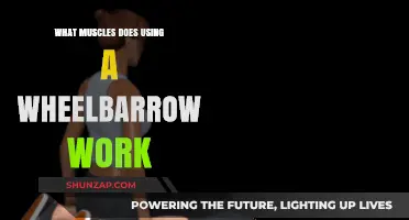 Wheelbarrow Workout: Muscles Engaged and Strengthened in Every Push