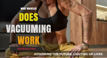 Vacuuming Workout: Muscles Engaged While Cleaning Your Home