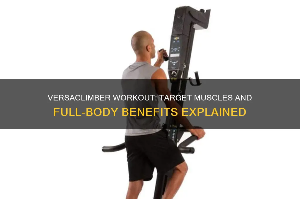 what muscles does versaclimber work
