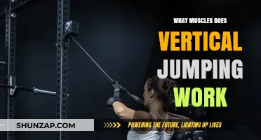 Vertical Jumping: Key Muscles Engaged for Explosive Power and Strength