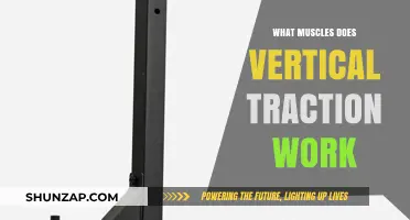 Vertical Traction: Target Muscles and Benefits for Strength and Flexibility