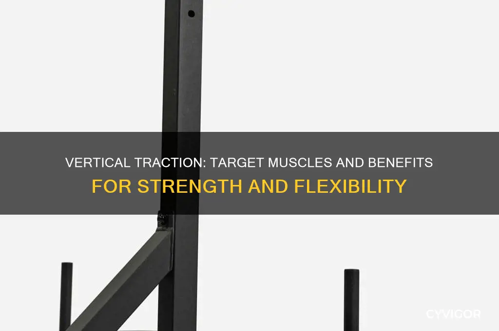 what muscles does vertical traction work