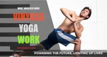Vinyasa Yoga Benefits: Targeted Muscles for Strength and Flexibility