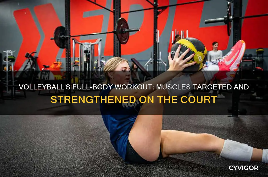 what muscles does volleyball work