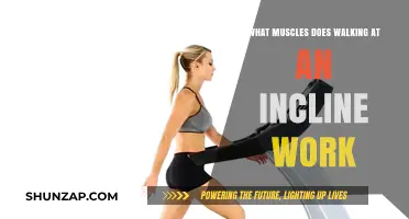Incline Walking Benefits: Targeted Muscles and Full-Body Workout Explained