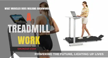 Walking Backwards on a Treadmill: Target Muscles and Benefits Explained