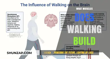 Unleash Your Inner Strength: The Surprising Muscle Benefits of Walking