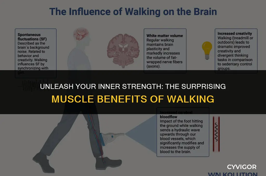 what muscles does walking build