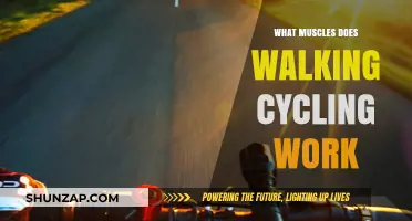 Walking vs. Cycling: Muscles Worked and Benefits Compared