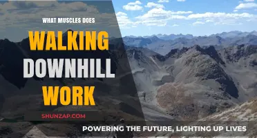 Walking Downhill: Targeted Muscles and Benefits for Lower Body Strength