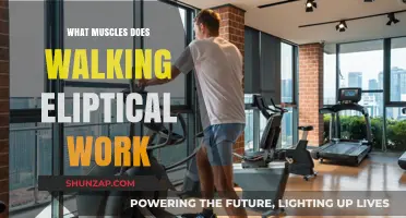 Elliptical Workout Benefits: Targeted Muscles and Full-Body Engagement Explained