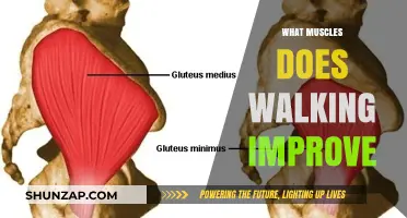 Walking: Strengthening Your Leg Muscles and More