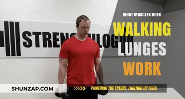 Walking Lunges: Targeted Muscles and Full-Body Benefits Explained