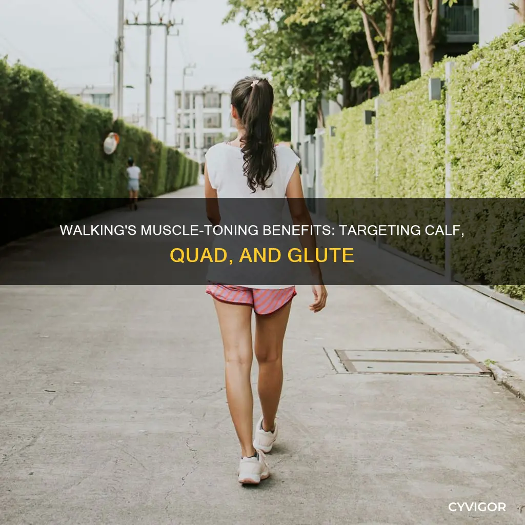 what muscles does walking tone
