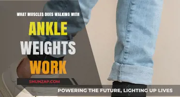 Walking with Ankle Weights: Targeted Muscles and Strength Benefits