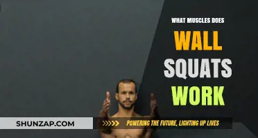 Wall Squats: Targeting Quads, Glutes, and Core Muscles Effectively
