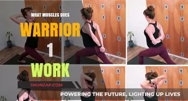 Warrior 1 Pose: Target Muscles and Benefits Explained