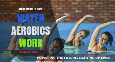 Water Aerobics: Target Muscles and Full-Body Benefits Explained