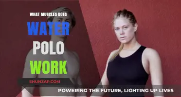 Water Polo Workout: Targeted Muscles for Strength and Endurance