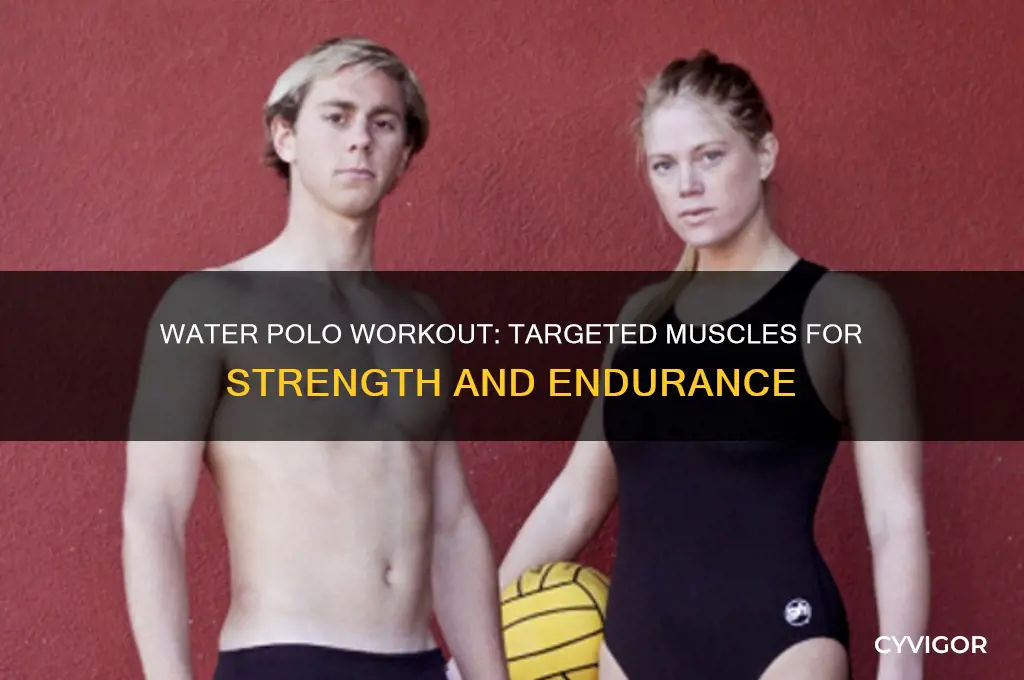 what muscles does water polo work