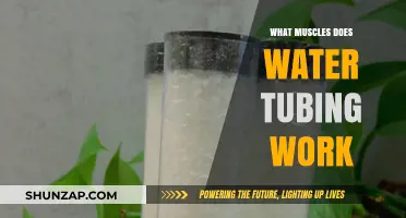 Water Tubing Workout: Targeted Muscles and Full-Body Benefits Explained