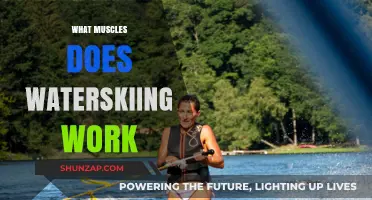 Waterskiing Workout: Muscles Engaged and Strengthened on the Water