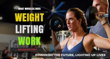 Weightlifting Workout: Targeted Muscles and Strength Training Benefits