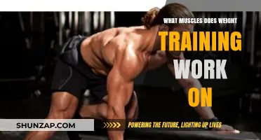 Weight Training: Target Muscles and Full-Body Strength Benefits