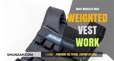 Weighted Vests: Target Muscles and Benefits for Strength Training