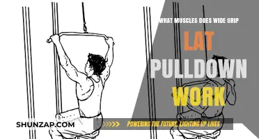 Wide Grip Lat Pulldown: Target Muscles and Workout Benefits Explained