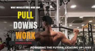 Wide Grip Pull Downs: Targeted Muscles and Benefits Explained