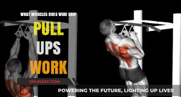 Wide Grip Pull-Ups: Targeted Muscles and Strength Benefits Explained