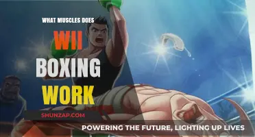 Wii Boxing Workout: Targeted Muscles and Fitness Benefits Explained