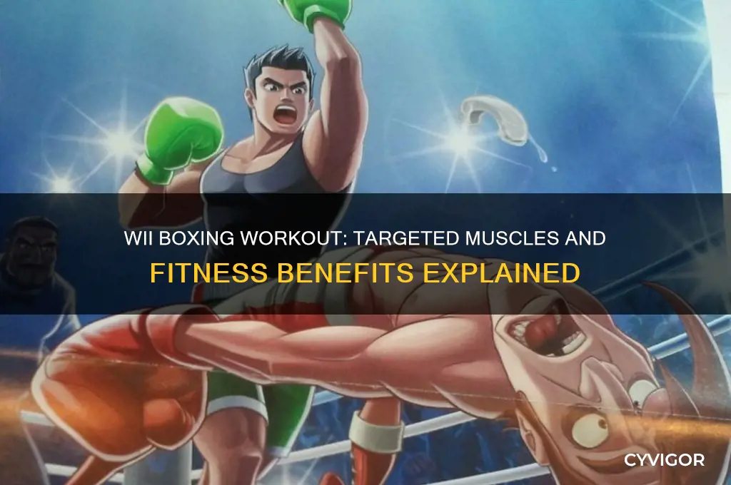 what muscles does wii boxing work