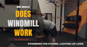Windmill Exercise Benefits: Targeted Muscles and Full-Body Engagement Explained