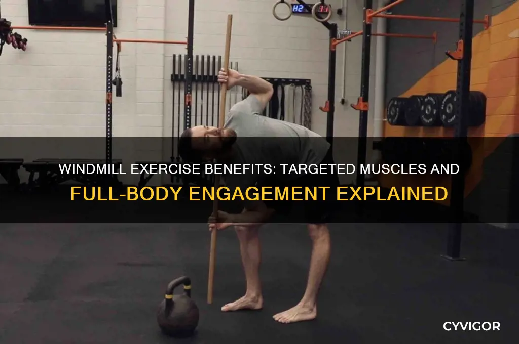 what muscles does windmill work