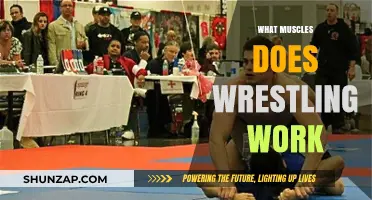 Wrestling Workout: Targeted Muscles for Strength, Agility, and Endurance