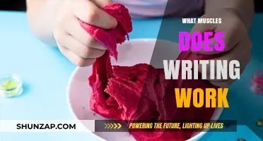 Muscles Engaged in Writing: Uncovering the Physical Effort Behind Creativity