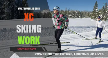 XC Skiing: A Full-Body Workout Targeting Core, Legs, and Upper Body Muscles