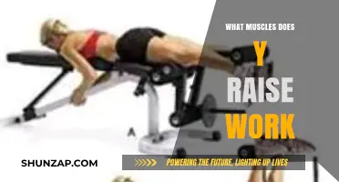Y Raise Muscles: Targeted Upper Body Strength and Definition