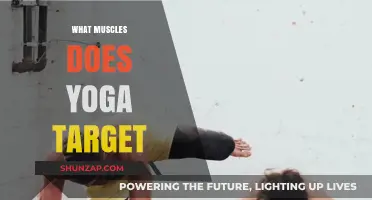Yoga's Muscle-Building Benefits Revealed