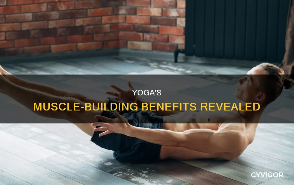 what muscles does yoga target