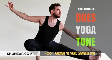 Yoga's Muscle-Toning Benefits