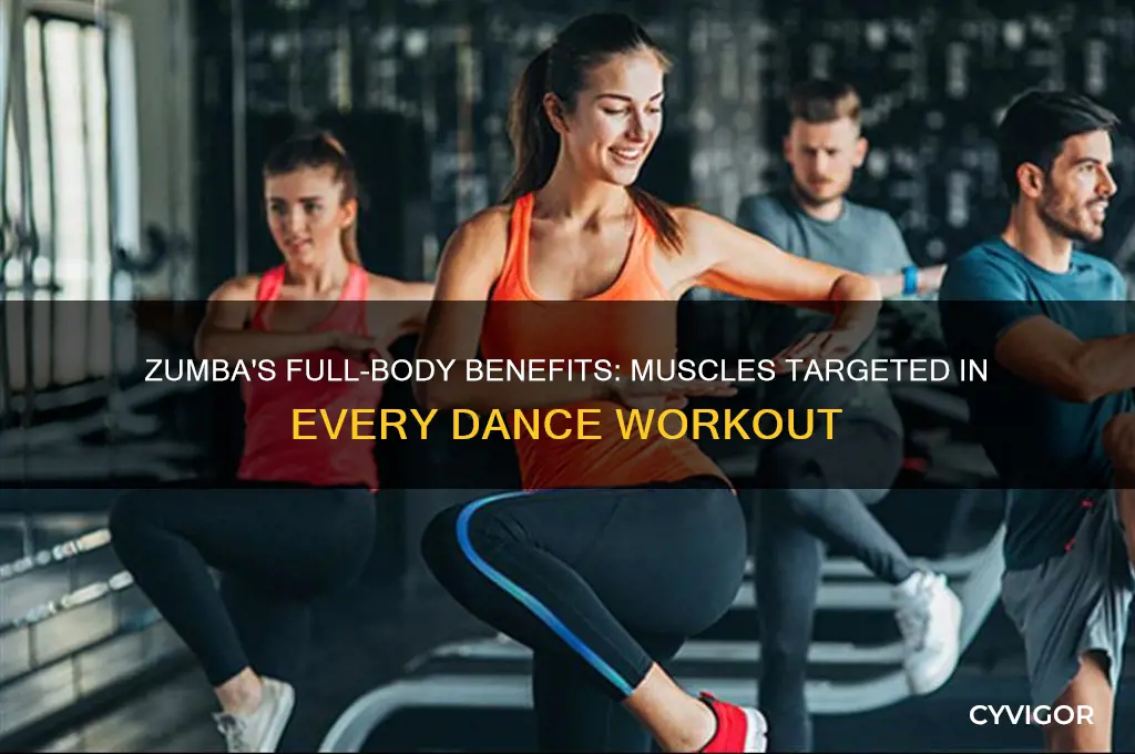what muscles does zumba work