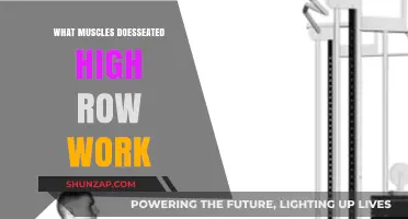 Seated High Row: Target Muscles and Benefits Explained